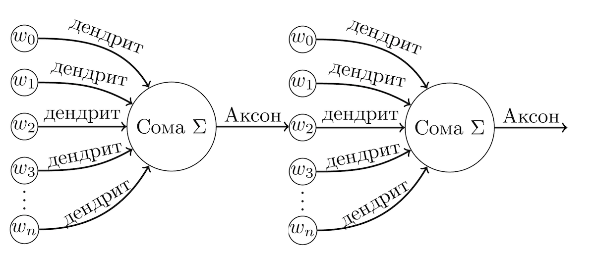 Модель соединения двух нейронов